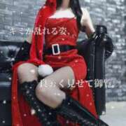 ヒメ日記 2025/12/23 09:08 投稿 えりか（Mドグマ） 妄想M男キラーエムドグマ・Sドグマ