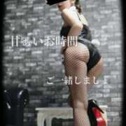 ヒメ日記 2026/01/17 09:10 投稿 えりか（Mドグマ） 妄想M男キラーエムドグマ・Sドグマ