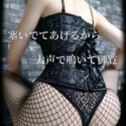 ヒメ日記 2026/02/19 10:11 投稿 えりか（Mドグマ） 妄想M男キラーエムドグマ・Sドグマ