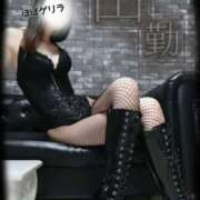 ヒメ日記 2026/02/25 11:01 投稿 えりか（Mドグマ） 妄想M男キラーエムドグマ・Sドグマ