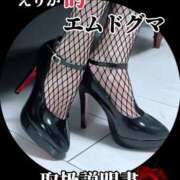 ヒメ日記 2026/03/03 08:00 投稿 えりか（Mドグマ） 妄想M男キラーエムドグマ・Sドグマ