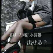 ヒメ日記 2026/03/19 09:30 投稿 えりか（Mドグマ） 妄想M男キラーエムドグマ・Sドグマ