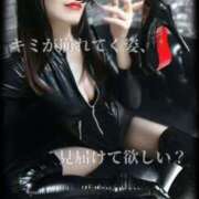 ヒメ日記 2026/03/23 09:00 投稿 えりか（Mドグマ） 妄想M男キラーエムドグマ・Sドグマ