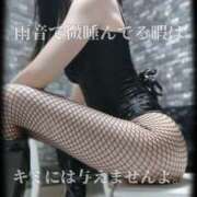 ヒメ日記 2026/03/25 09:00 投稿 えりか（Mドグマ） 妄想M男キラーエムドグマ・Sドグマ