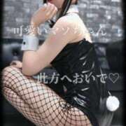 ヒメ日記 2026/03/27 09:00 投稿 えりか（Mドグマ） 妄想M男キラーエムドグマ・Sドグマ