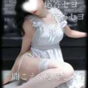 ヒメ日記 2026/04/16 09:30 投稿 えりか（Mドグマ） 妄想M男キラーエムドグマ・Sドグマ