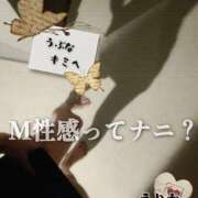 ヒメ日記 2026/08/11 12:08 投稿 えりか（Mドグマ） 妄想M男キラーエムドグマ・Sドグマ