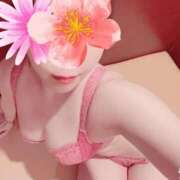 ヒメ日記 2025/03/25 18:30 投稿 ゆきの カワサキ EROTIC