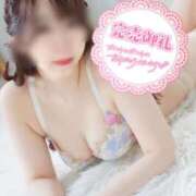 ヒメ日記 2026/06/07 23:45 投稿 ゆきの カワサキ EROTIC