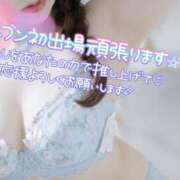 ヒメ日記 2026/10/03 13:30 投稿 ゆきの カワサキ EROTIC