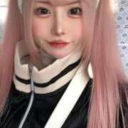 ヒメ日記 2025/01/27 15:18 投稿 よかぜ 京都BOOK MARK（ブックマーク）