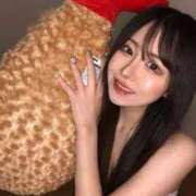 ヒメ日記 2025/02/10 15:08 投稿 よかぜ 京都BOOK MARK（ブックマーク）