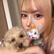 ヒメ日記 2025/02/23 17:18 投稿 よかぜ 京都BOOK MARK（ブックマーク）