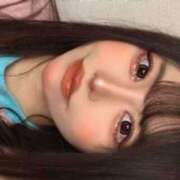 ヒメ日記 2025/04/09 15:08 投稿 よかぜ 京都BOOK MARK（ブックマーク）