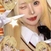 ヒメ日記 2025/04/12 15:18 投稿 よかぜ 京都BOOK MARK（ブックマーク）