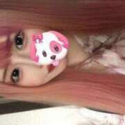 ヒメ日記 2025/04/29 15:15 投稿 よかぜ 京都BOOK MARK（ブックマーク）