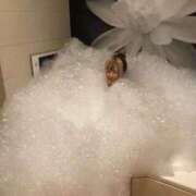 ヒメ日記 2025/05/14 17:08 投稿 よかぜ 京都BOOK MARK（ブックマーク）