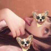 ヒメ日記 2025/06/10 15:18 投稿 よかぜ 京都BOOK MARK（ブックマーク）