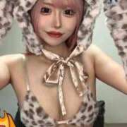 ヒメ日記 2025/06/17 15:18 投稿 よかぜ 京都BOOK MARK（ブックマーク）