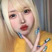 ヒメ日記 2025/08/15 17:08 投稿 よかぜ 京都BOOK MARK（ブックマーク）