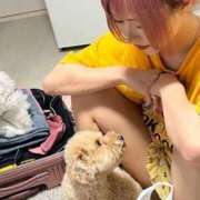 ヒメ日記 2025/09/11 17:48 投稿 よかぜ 京都BOOK MARK（ブックマーク）