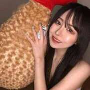 ヒメ日記 2025/09/13 17:08 投稿 よかぜ 京都BOOK MARK（ブックマーク）