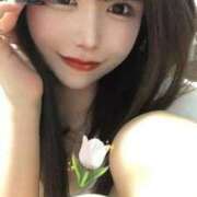 ヒメ日記 2025/09/15 18:16 投稿 よかぜ 京都BOOK MARK（ブックマーク）