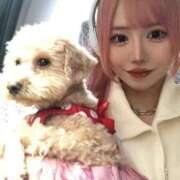 ヒメ日記 2025/11/08 17:08 投稿 よかぜ 京都BOOK MARK（ブックマーク）