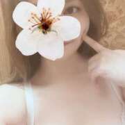 ヒメ日記 2025/09/20 16:01 投稿 あすな One More奥様　町田相模原店