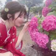 ヒメ日記 2026/04/13 10:15 投稿 Koyuki LUXURY（ラグジュアリー）