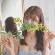 ヒメ日記 2026/04/24 08:15 投稿 Koyuki LUXURY（ラグジュアリー）