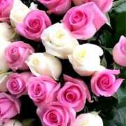 ヒメ日記 2025/02/23 07:04 投稿 ようこ 完熟ばなな川崎