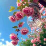 ヒメ日記 2025/03/14 17:59 投稿 ようこ 完熟ばなな川崎