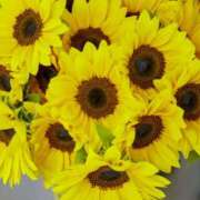 ヒメ日記 2025/07/07 07:51 投稿 ようこ 完熟ばなな川崎