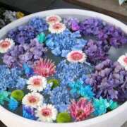 ヒメ日記 2025/07/14 08:37 投稿 ようこ 完熟ばなな川崎