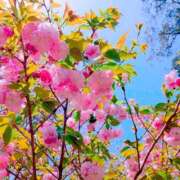 ヒメ日記 2025/07/17 11:04 投稿 ようこ 完熟ばなな川崎