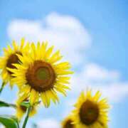 ヒメ日記 2025/08/09 10:58 投稿 ようこ 完熟ばなな川崎