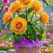 ヒメ日記 2025/08/20 13:58 投稿 ようこ 完熟ばなな川崎