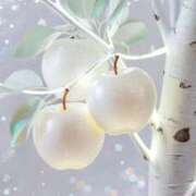 ヒメ日記 2025/12/14 13:53 投稿 ようこ 完熟ばなな川崎