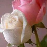 ヒメ日記 2026/01/18 23:00 投稿 ようこ 完熟ばなな川崎