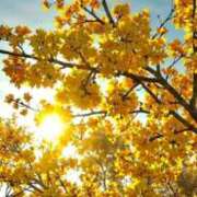 ヒメ日記 2026/03/09 07:34 投稿 ようこ 完熟ばなな川崎