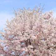 ヒメ日記 2026/03/31 10:00 投稿 ようこ 完熟ばなな川崎