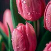 ヒメ日記 2026/03/31 16:33 投稿 ようこ 完熟ばなな川崎