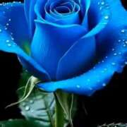 ようこ 完熟バナナ川崎店のようこです 完熟ばなな川崎