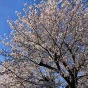 ヒメ日記 2026/04/16 13:43 投稿 ようこ 完熟ばなな川崎