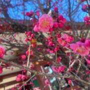 ヒメ日記 2025/02/26 14:56 投稿 ねい 熟女の風俗最終章 蒲田店