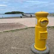 ヒメ日記 2025/06/24 18:40 投稿 ねい 熟女の風俗最終章 蒲田店