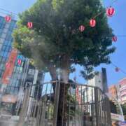 ヒメ日記 2025/08/28 17:20 投稿 ねい 熟女の風俗最終章 蒲田店