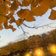 ヒメ日記 2025/11/26 18:50 投稿 ねい 熟女の風俗最終章 蒲田店