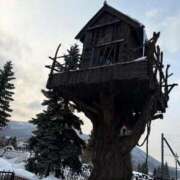 ヒメ日記 2026/02/15 13:10 投稿 ねい 熟女の風俗最終章 蒲田店